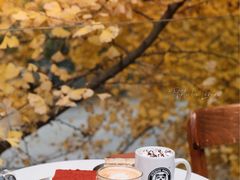 -腾爱熊猫咖啡生活馆(老东门店)