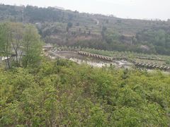 -渭南桃花源民俗文化园