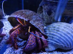 -太平洋海底世界