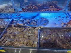 -77号渔船·蒸海鲜青岛菜(积米崖店)