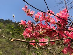 -木兰云雾山