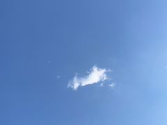 -苏州河梦清园环保主题公园