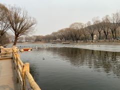 -石家庄市动物园