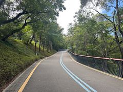 -飞凤山奥体公园