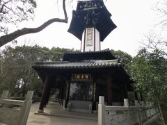 -上海佘山国家森林公园天马山园