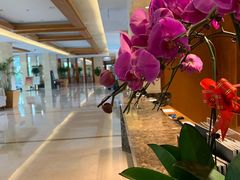 -扬州瘦西湖汇金酒店