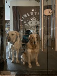 -Libertines barbershop 浪子理发店