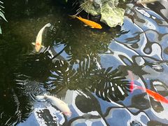 -白天鹅宾馆·流浮阁咖啡厅