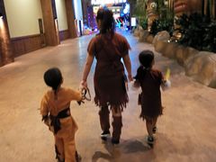 -杭州开元森泊度假乐园