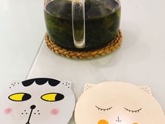 -喵的天空名猫咖啡馆·撸猫·猫舍·用品
