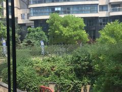 景观位-永泰福朋喜来登酒店-宜客乐自助餐厅(远大路店)