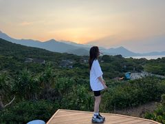 -杨梅坑
