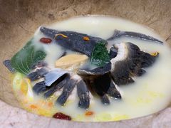 -滇小鱼·云南野生菌火锅(上杭路店)