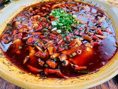 -青城甲(青城山店)