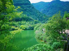 -芳草地度假酒店·野炉中餐厅