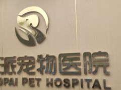 -瑞派康怡24h宠物医院·犬猫医疗中心·微创绝育(瑞景分院)