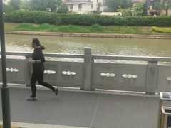 -嘉定紫藤园