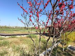 -永定河休闲森林公园