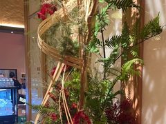 -觅唐MITONG(鸟巢店)