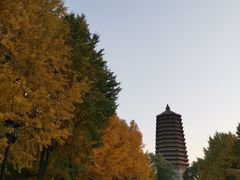 -玲珑塔公园