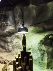 -Zoolung Zoolung动物主题公园(海信广场店)