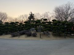-朴园