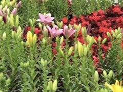 -长春公园(普阳街道)