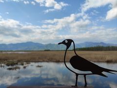 -野鸭湖国家湿地公园