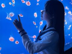 -合肥海洋世界