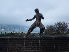 -星光大道