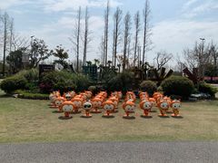 -上海长兴岛郊野公园