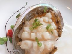 鲍汁扣五头鲜鲍鱼-汤城小厨(金融街店)