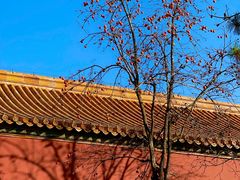 -故宫博物院(故宫)