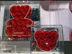 -ROSEONLY诺誓(国际广场购物中心店)