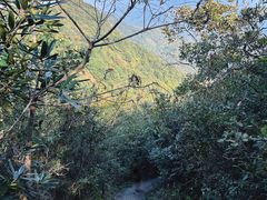 -午潮山国家森林公园