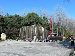 -合肥滨湖国家森林公园