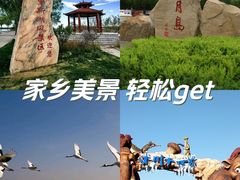 -龙沙公园