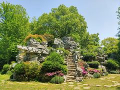 -上海鲜花港
