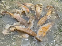 -水哥卜卜贝(东晓·胜汇里店)