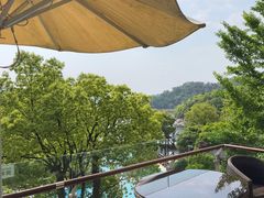 -逸廊大堂吧-下午茶·简餐-千岛湖自由洲际殿