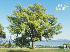 -东钱湖旅游度假区