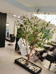 -付军剪艺JF ProSalon