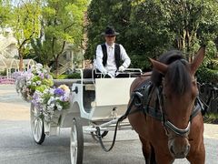 -J Create城市露营咖啡·简餐·宠物(上海动物园店)