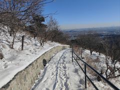 -香山公园