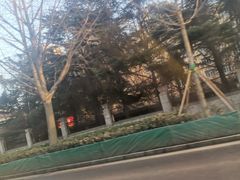 -红叶日料·放题·海胆·定食(星海店)