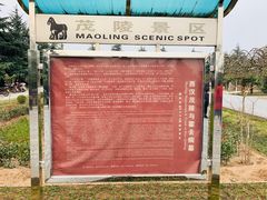 -茂陵博物馆