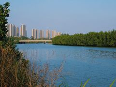 -大亚湾红树林城市湿地公园