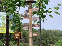 -黄龙溪欢乐田园