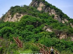 -大岭沟猕猴桃谷风景区