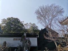-东山雕花楼